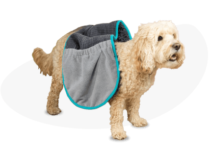 Ein Muss für jeden Hundebesitzer!